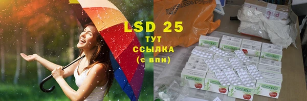 сатива Елабуга