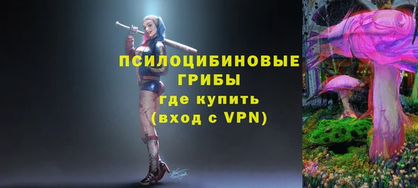 сатива Елабуга
