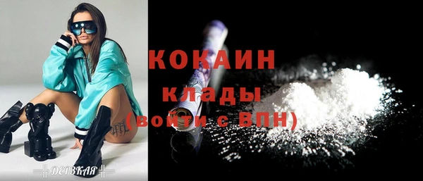 ПСИЛОЦИБИНОВЫЕ ГРИБЫ Ельня