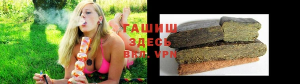 сатива Елабуга