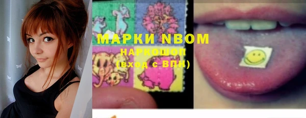 ПСИЛОЦИБИНОВЫЕ ГРИБЫ Ельня