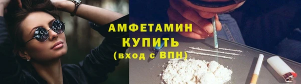 ПСИЛОЦИБИНОВЫЕ ГРИБЫ Ельня