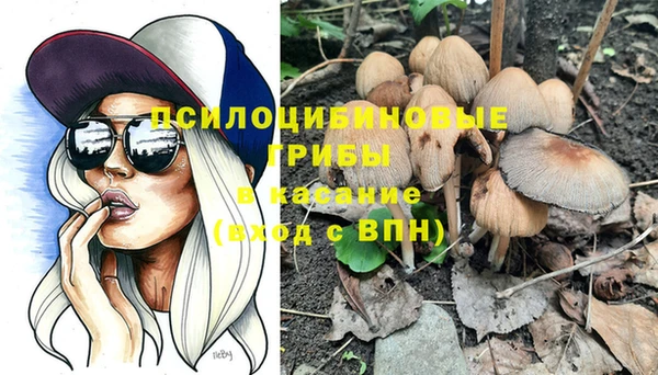 сатива Елабуга