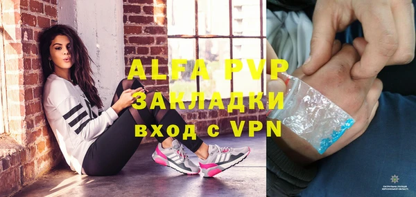 ПСИЛОЦИБИНОВЫЕ ГРИБЫ Ельня
