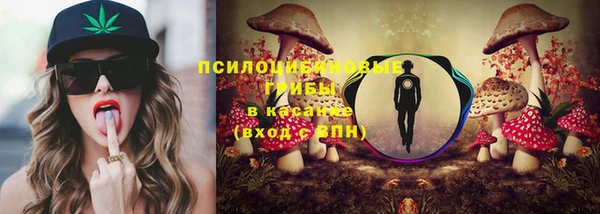 гидропоника Елизово